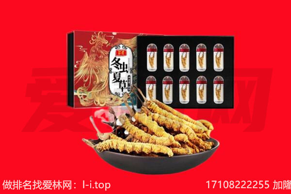 宁洱县回收虫草.jpg